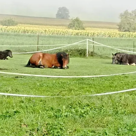 Roulotte De La Ferme Les Chenevieres Luxe tent Villers-devant-Mouzon