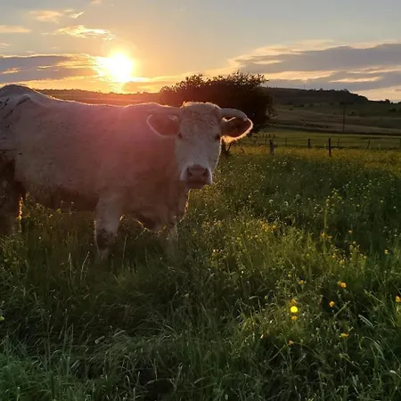 Roulotte De La Ferme Les Chenevieres *