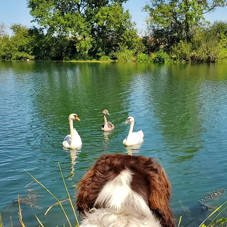 Roulotte De La Ferme Les Chenevieres * Villers-devant-Mouzon