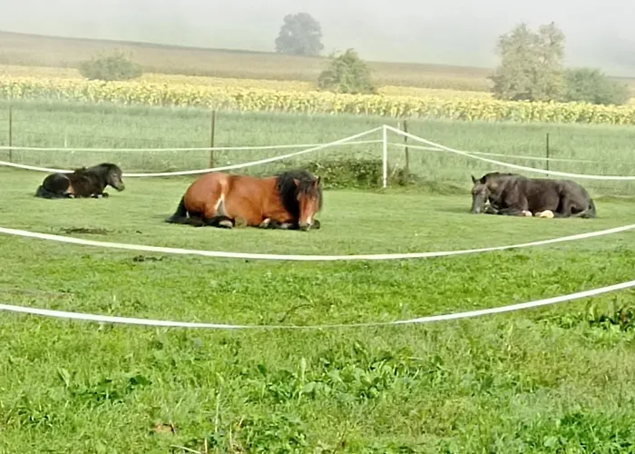 Roulotte De La Ferme Les Chenevieres Luxuszelt Villers-devant-Mouzon