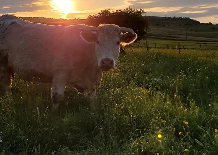 Roulotte De La Ferme Les Chenevieres *