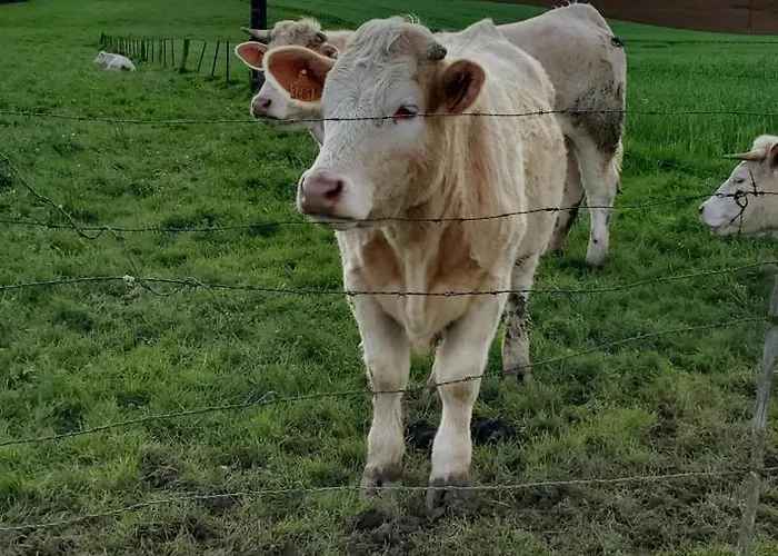 Luxuszelt Roulotte De La Ferme Les Chenevieres *