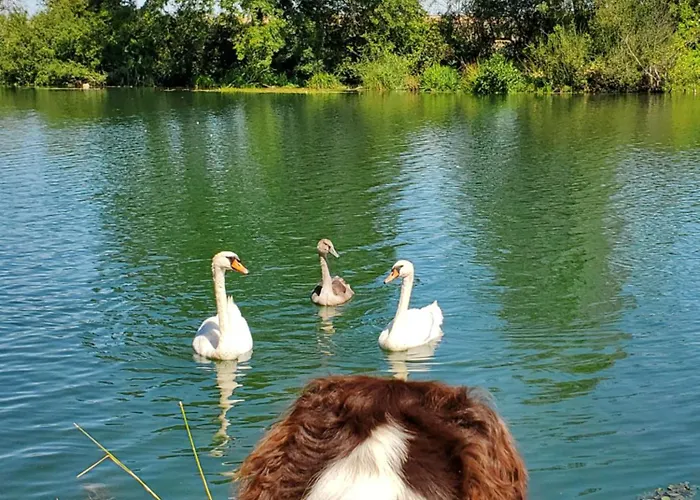 Roulotte De La Ferme Les Chenevieres * Villers-devant-Mouzon
